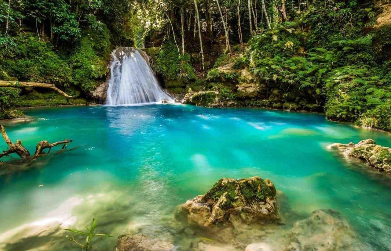 The Roseville Ocho Rios Ngoại thất bức ảnh